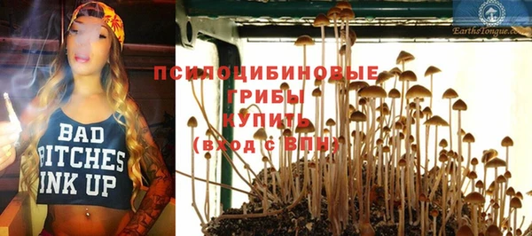 прущие крисы Алексеевка